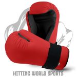 KARATE MITTS