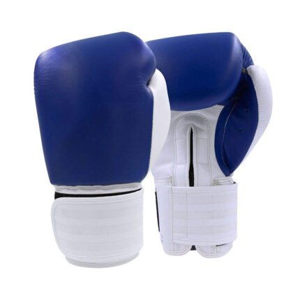 Boxing Gloves (Copy)